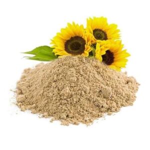 Sunflower Lecithin Powder